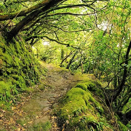 Casa El Cercado San Andrés