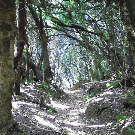 Casa El Cercado Holiday home