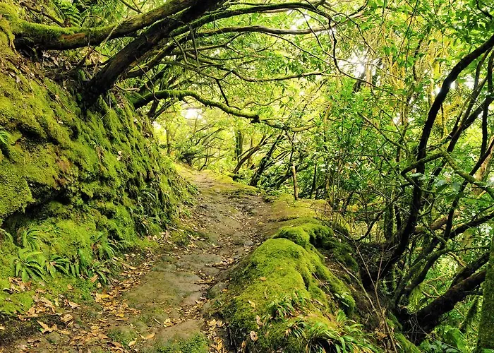Casa El Cercado San Andrés