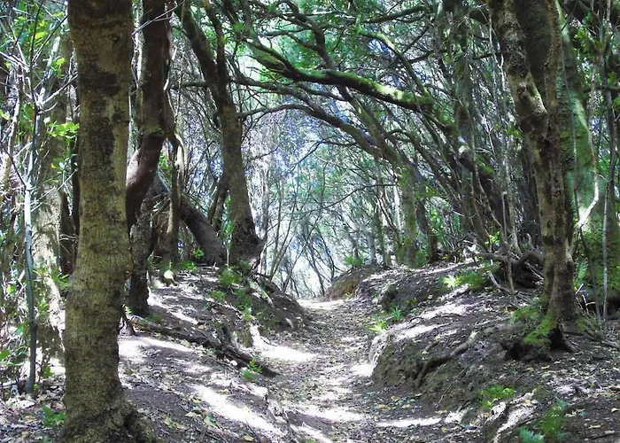 Casa El Cercado Casa vacanze